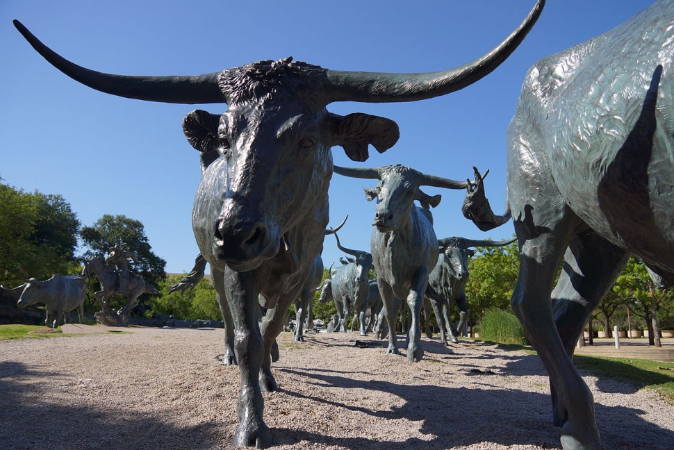 We Buy Houses Dallas - Sell My House Fast [Longhorn Cattle - Pioneer Plaza]